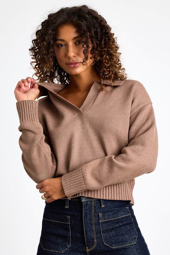 Cozy Forecast Light Brown Collared Pullover Sweater