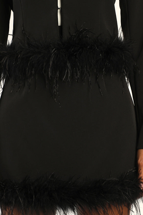 Celebratory Sweetie Black Feather Mini Skirt